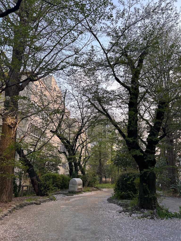 f:id:Magnoliarida:20240410183252j:image