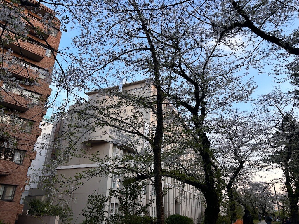 f:id:Magnoliarida:20240410183311j:image