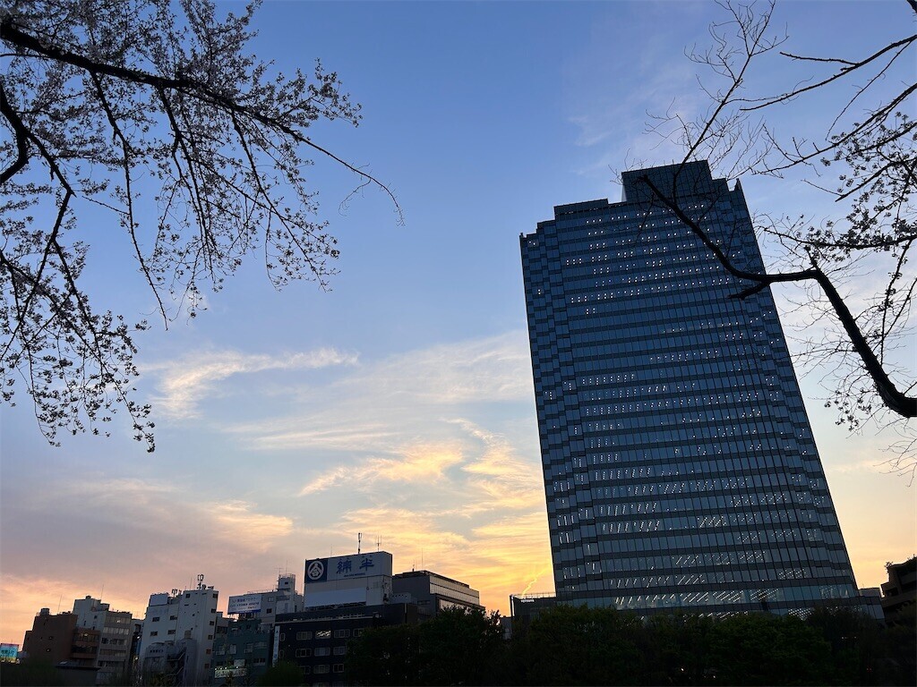 f:id:Magnoliarida:20240410183422j:image