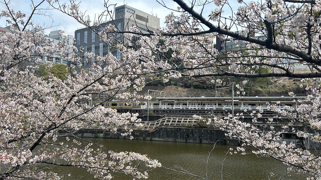 f:id:Magnoliarida:20240411133403j:image