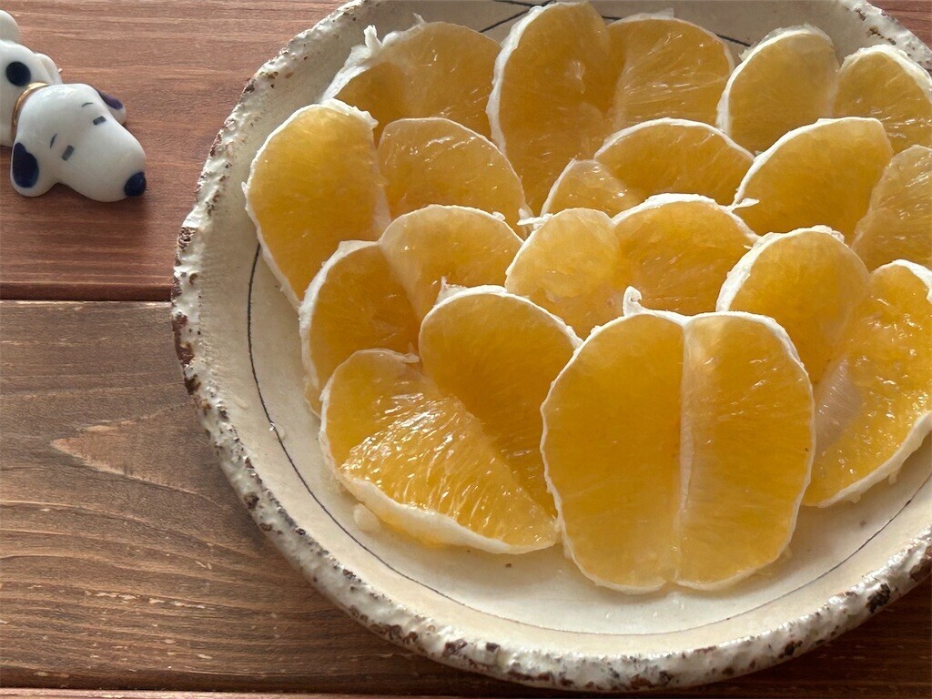 f:id:Magnoliarida:20240425083532j:image