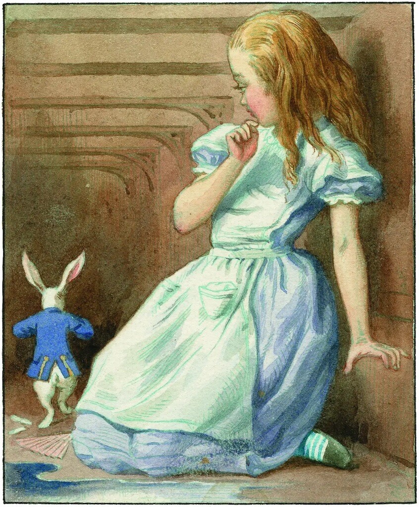 f:id:Magnoliarida:20240427235700j:image f:id:Magnoliarida:20240427235700j:image