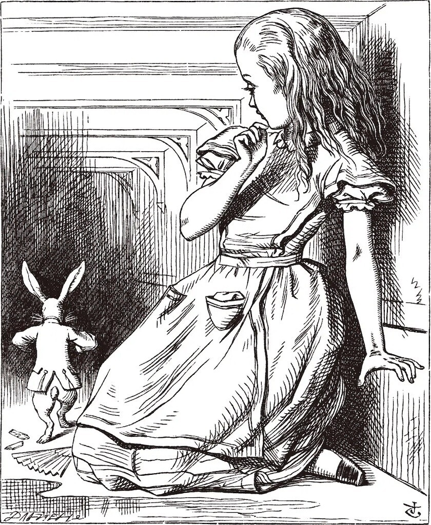 f:id:Magnoliarida:20240427235707j:image f:id:Magnoliarida:20240427235707j:image