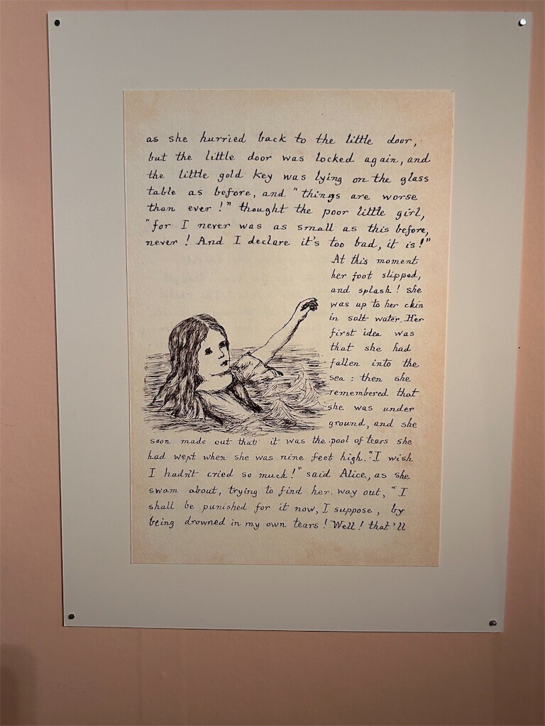 f:id:Magnoliarida:20240428000231j:image f:id:Magnoliarida:20240428000231j:image