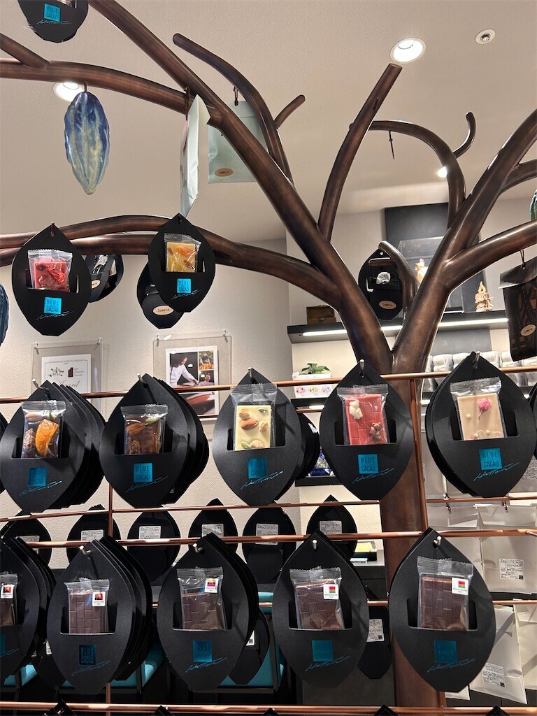 f:id:Magnoliarida:20240428001820j:image