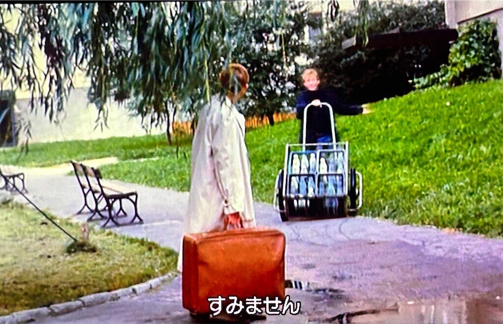 f:id:Magnoliarida:20240502231701j:image f:id:Magnoliarida:20240502231701j:image