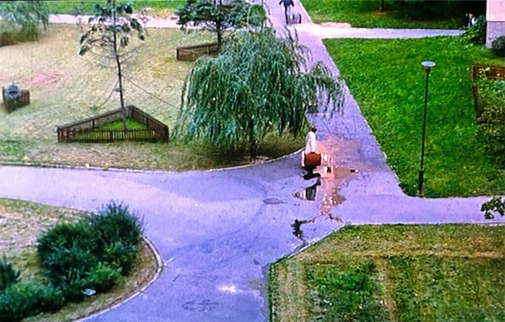 f:id:Magnoliarida:20240502231703j:image f:id:Magnoliarida:20240502231703j:image