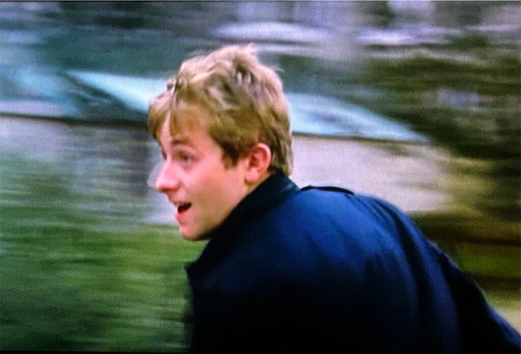 f:id:Magnoliarida:20240502231710j:image f:id:Magnoliarida:20240502231710j:image