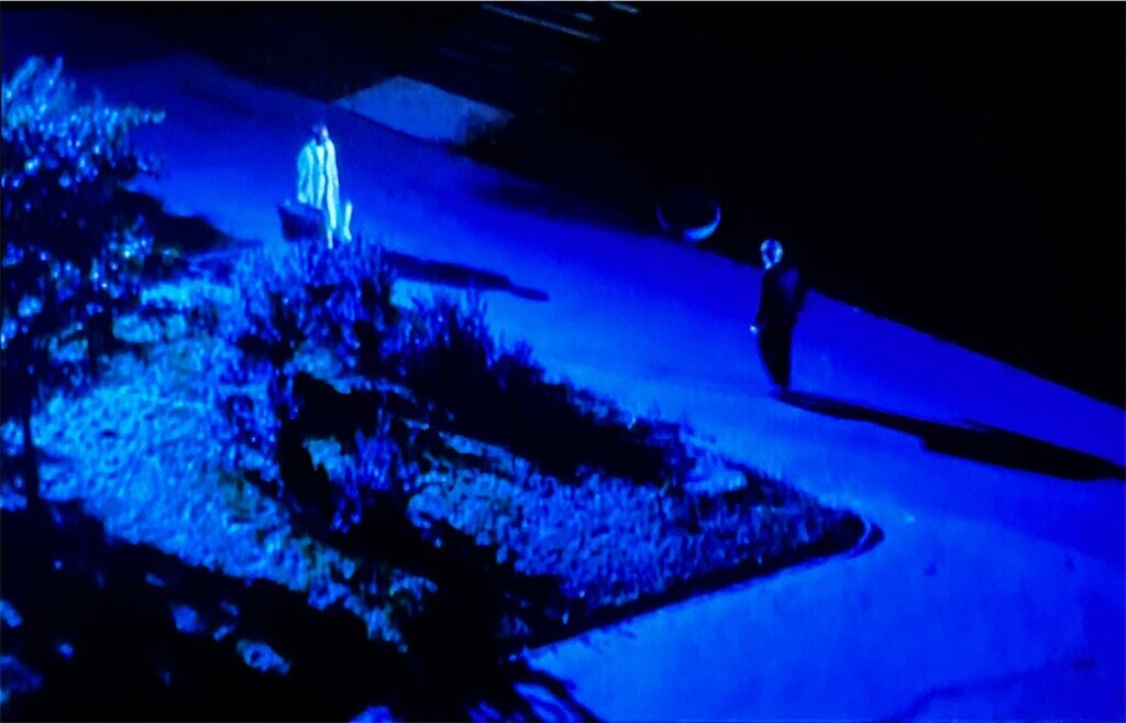 f:id:Magnoliarida:20240502232901j:image f:id:Magnoliarida:20240502232901j:image