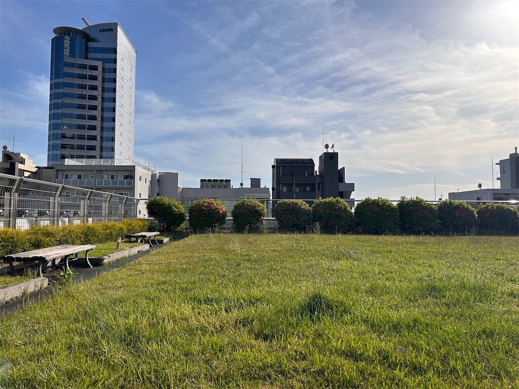 f:id:Magnoliarida:20240505202636j:image