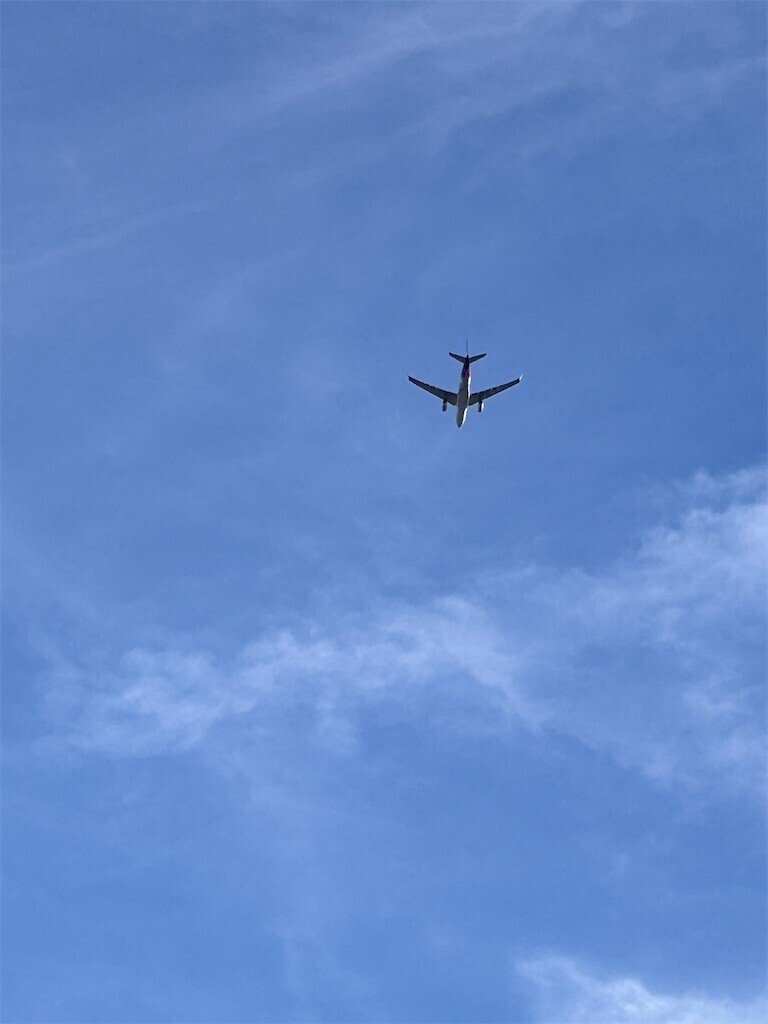 f:id:Magnoliarida:20240505202727j:image