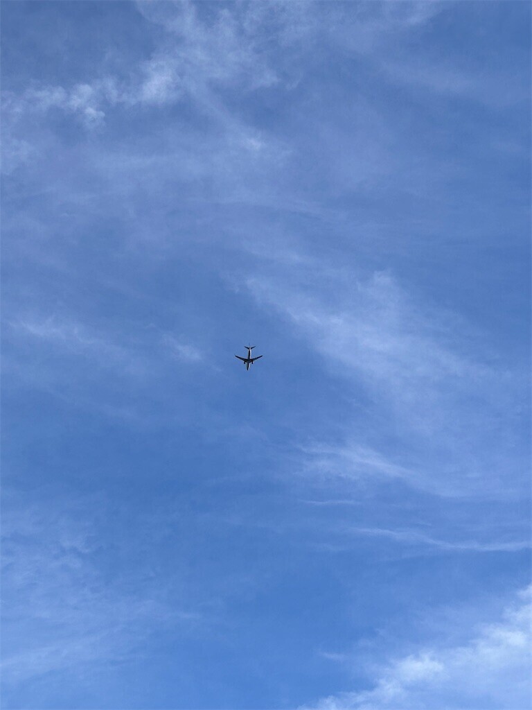 f:id:Magnoliarida:20240505203035j:image