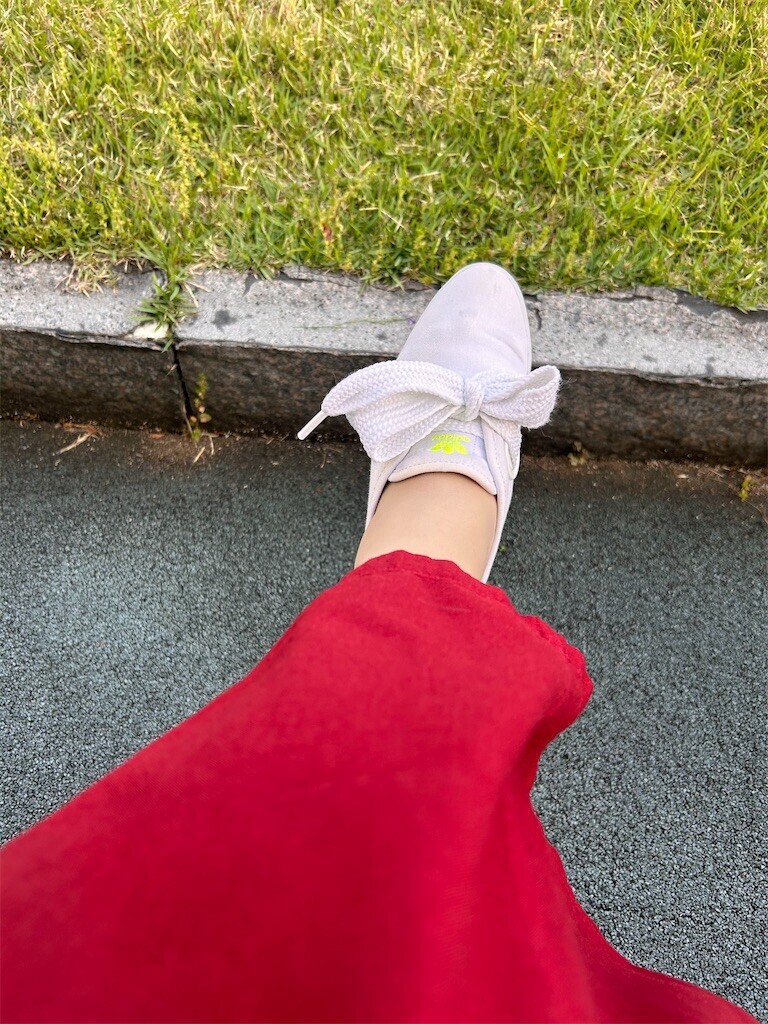 f:id:Magnoliarida:20240505203038j:image