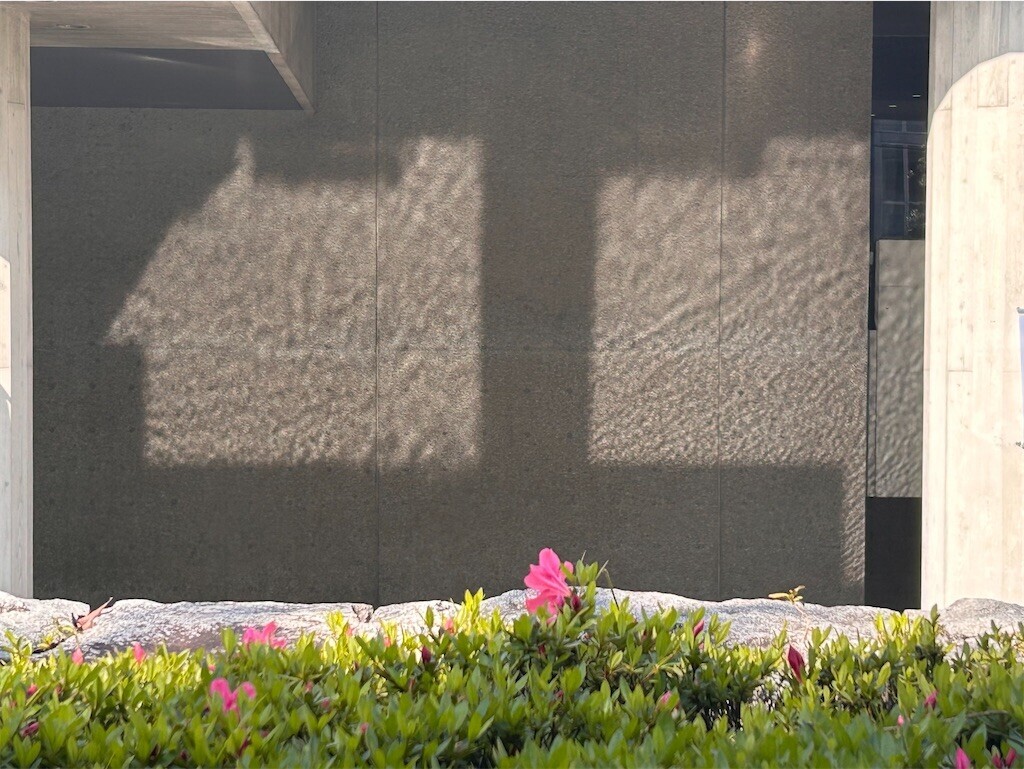 f:id:Magnoliarida:20240505215523j:image