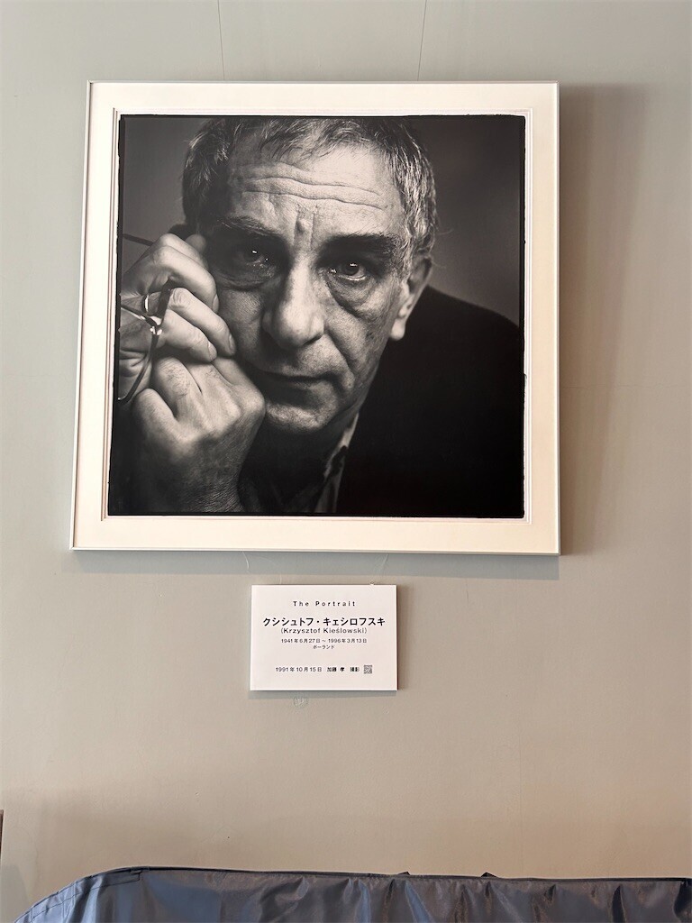 f:id:Magnoliarida:20240505225459j:image