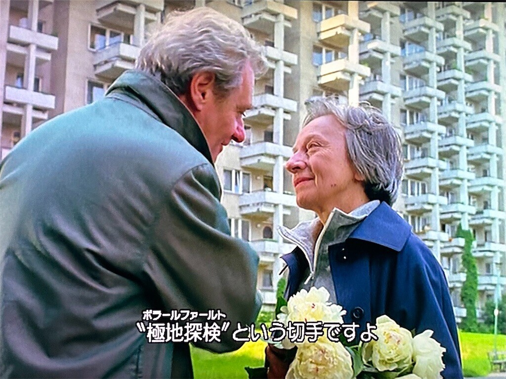 f:id:Magnoliarida:20240509235058j:image f:id:Magnoliarida:20240509235058j:image