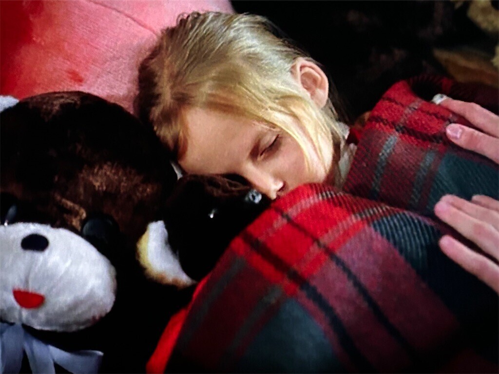 f:id:Magnoliarida:20240510001346j:image