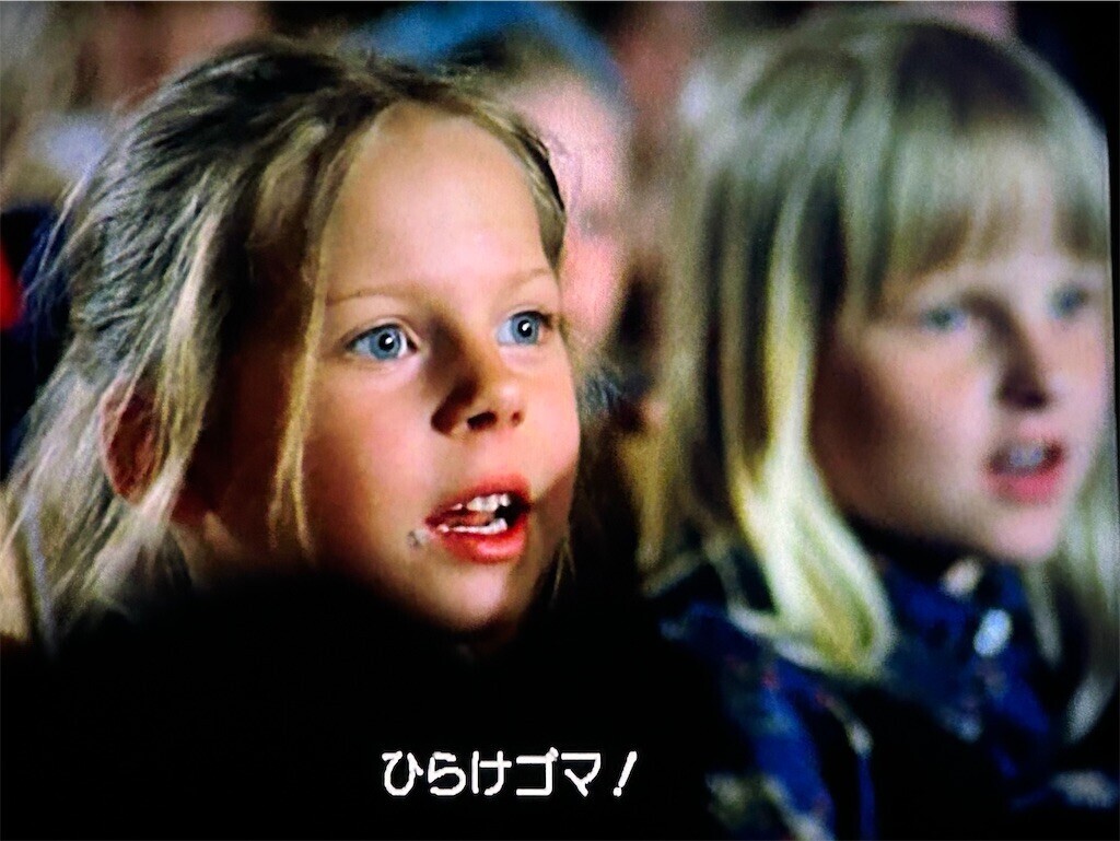 f:id:Magnoliarida:20240510001352j:image