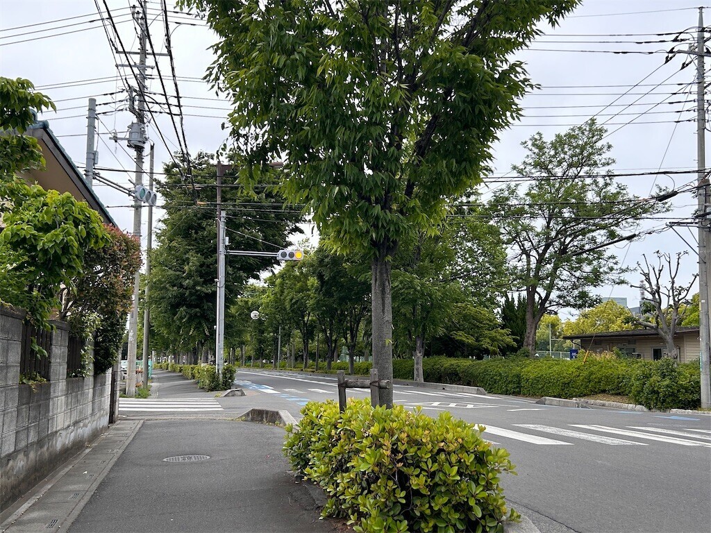 f:id:Magnoliarida:20240512202525j:image