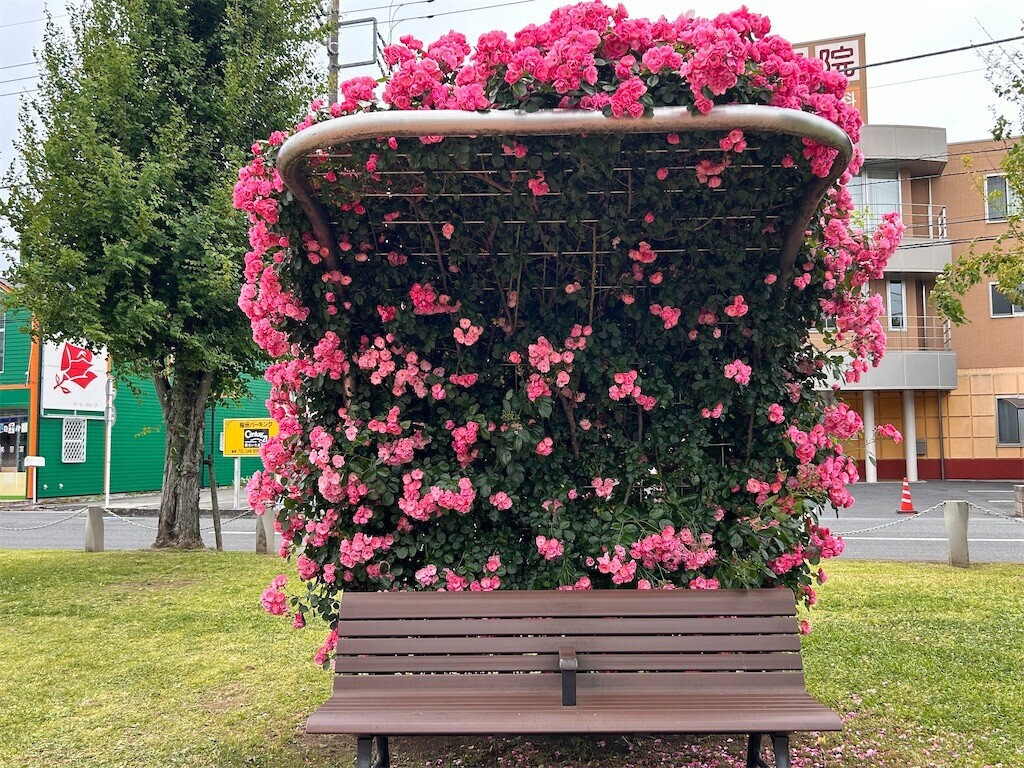 f:id:Magnoliarida:20240512203055j:image