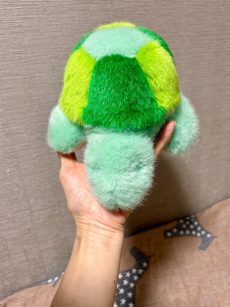 f:id:Magnoliarida:20240529232618j:image f:id:Magnoliarida:20240529232618j:image