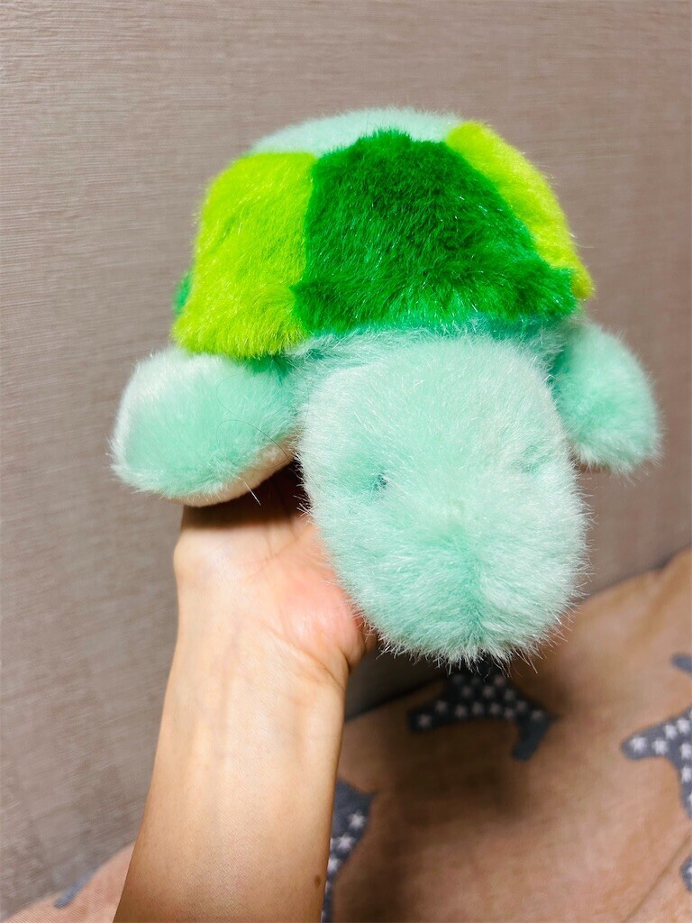 f:id:Magnoliarida:20240529232622j:image f:id:Magnoliarida:20240529232622j:image