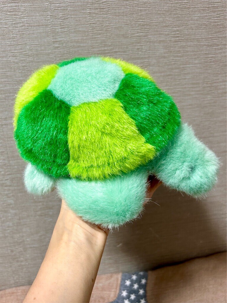 f:id:Magnoliarida:20240529232624j:image f:id:Magnoliarida:20240529232624j:image