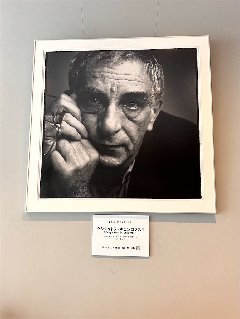 f:id:Magnoliarida:20240602180133j:image