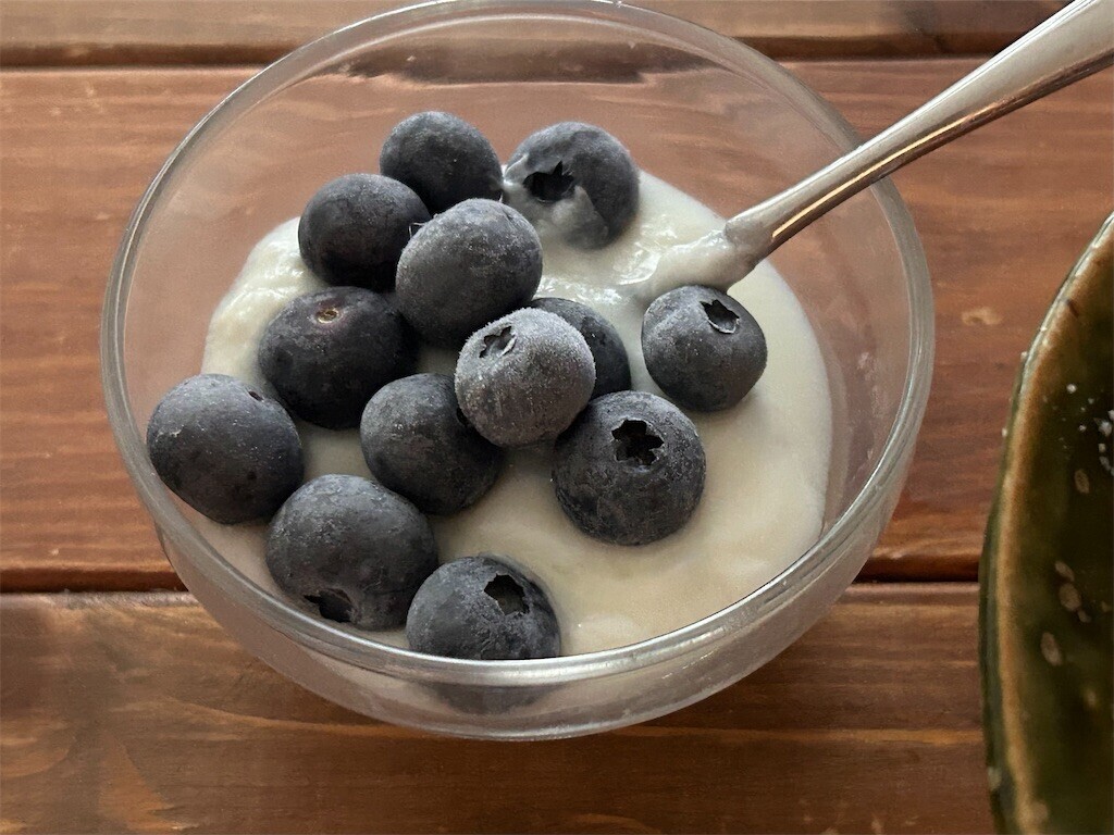 f:id:Magnoliarida:20240618084106j:image