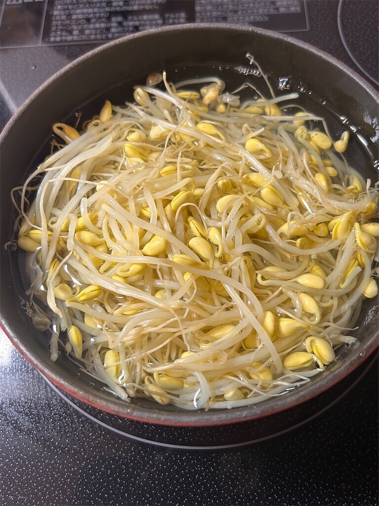 f:id:Magnoliarida:20240618084409j:image