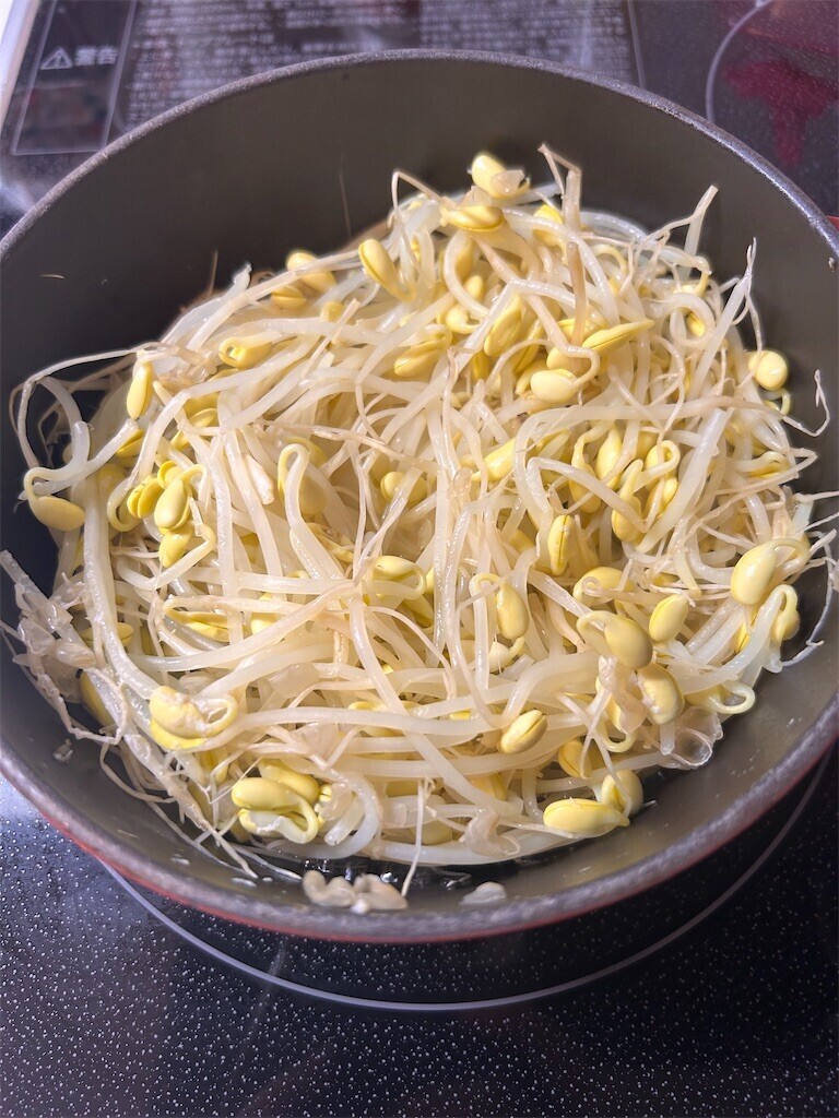 f:id:Magnoliarida:20240618084417j:image