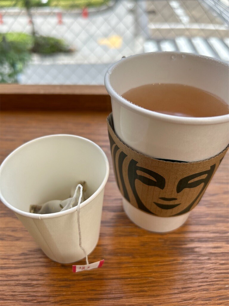 f:id:Magnoliarida:20240622102459j:image f:id:Magnoliarida:20240622102459j:image