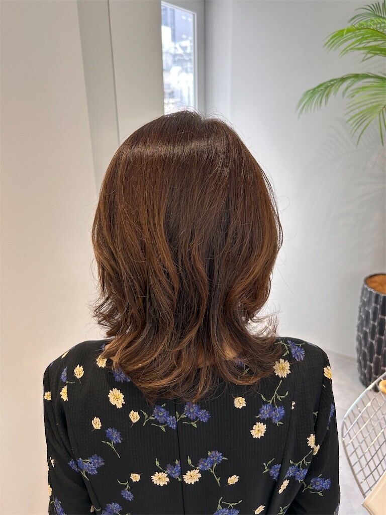 f:id:Magnoliarida:20240624112419j:image f:id:Magnoliarida:20240624112419j:image