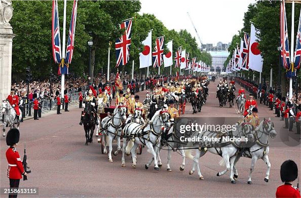 f:id:Magnoliarida:20240627083416j:image