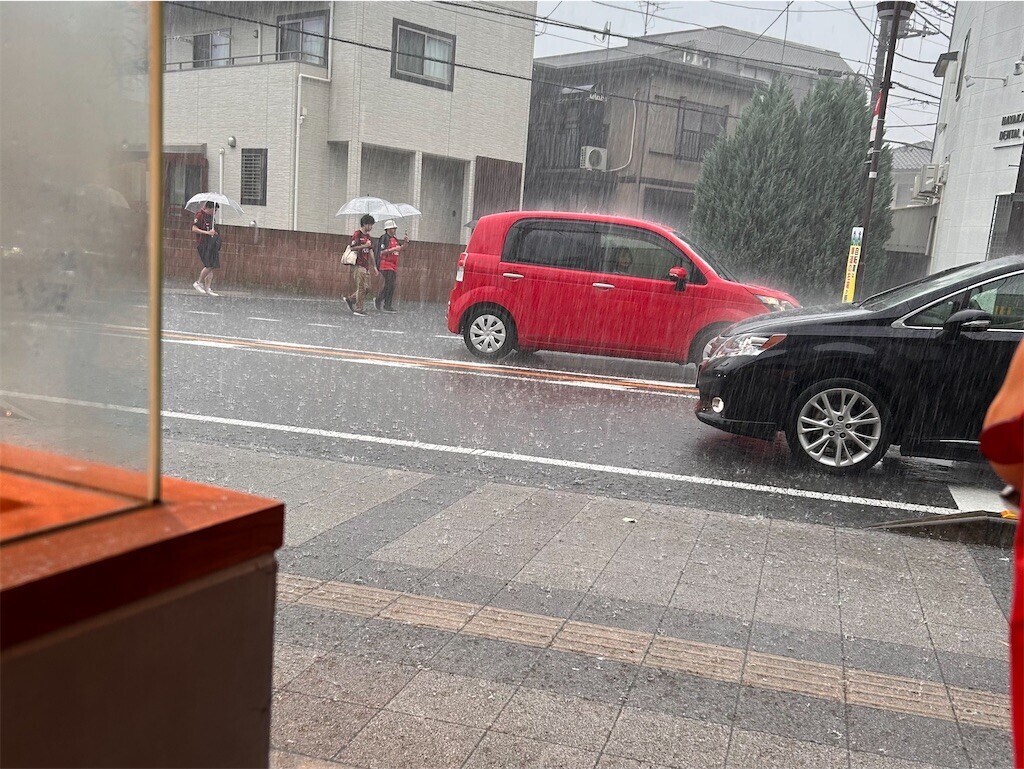 f:id:Magnoliarida:20240707085620j:image