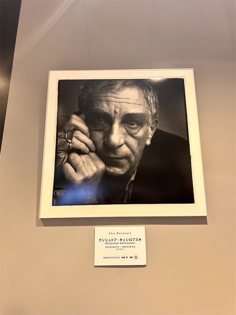 f:id:Magnoliarida:20240713010611j:image f:id:Magnoliarida:20240713010611j:image