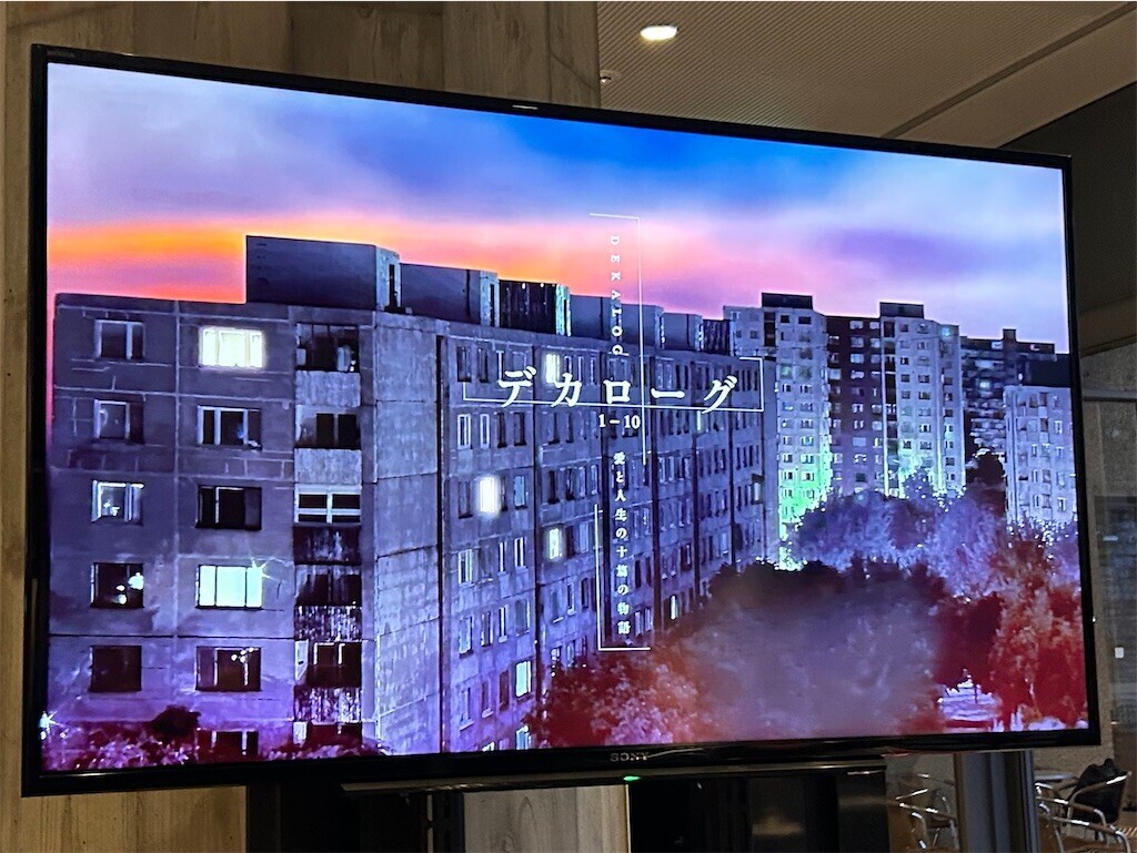 f:id:Magnoliarida:20240713011209j:image f:id:Magnoliarida:20240713011209j:image