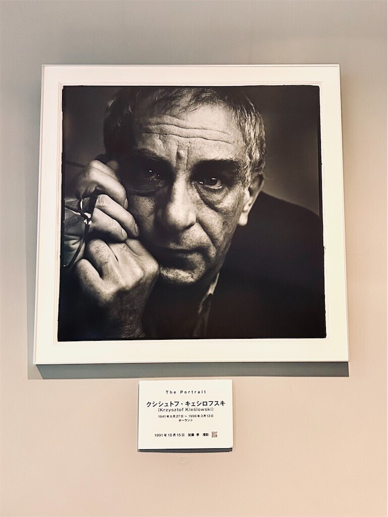 f:id:Magnoliarida:20240716230730j:image