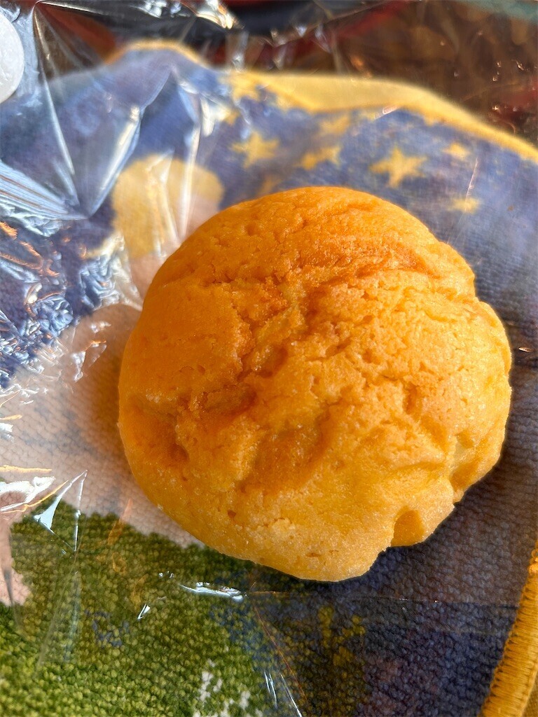 f:id:Magnoliarida:20240722090236j:image