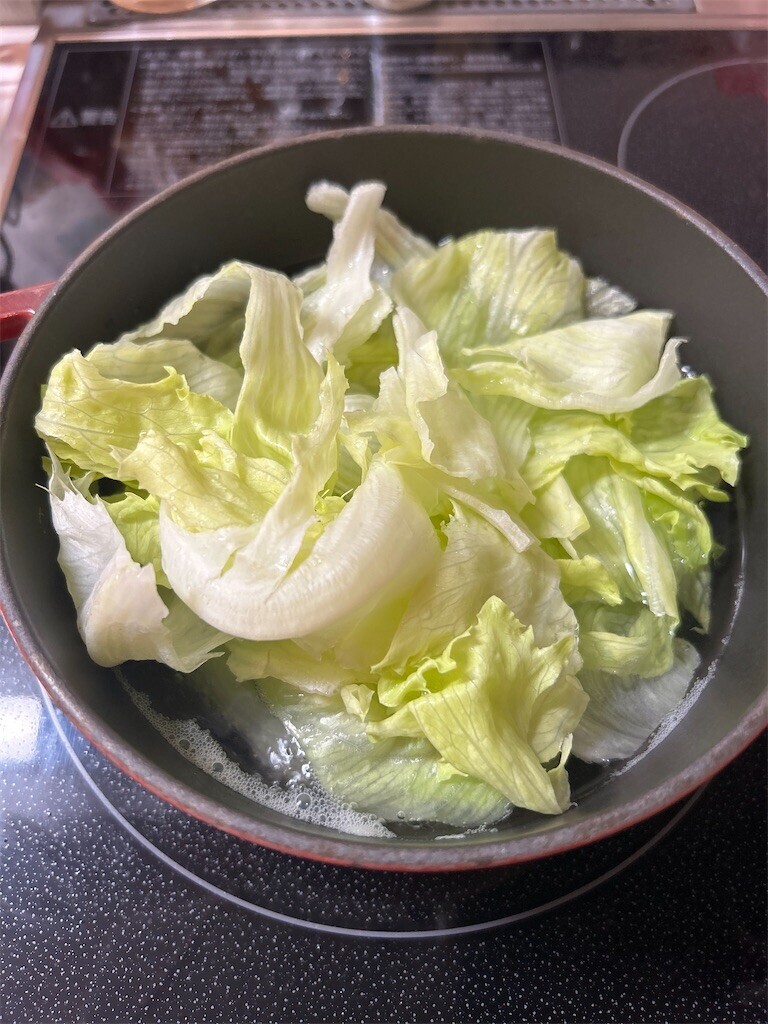 f:id:Magnoliarida:20240723072712j:image