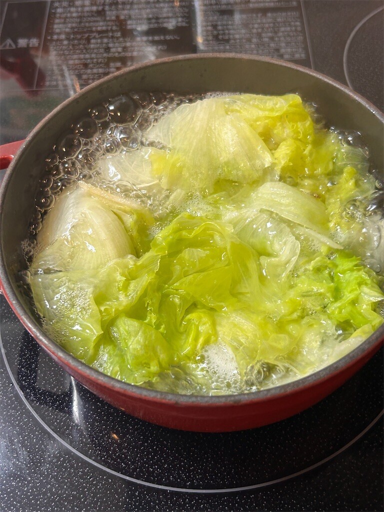 f:id:Magnoliarida:20240723105922j:image