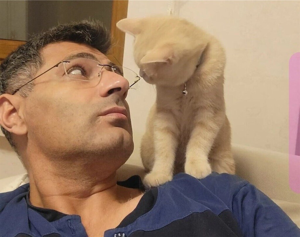 f:id:Magnoliarida:20240803221852j:image f:id:Magnoliarida:20240803221852j:image