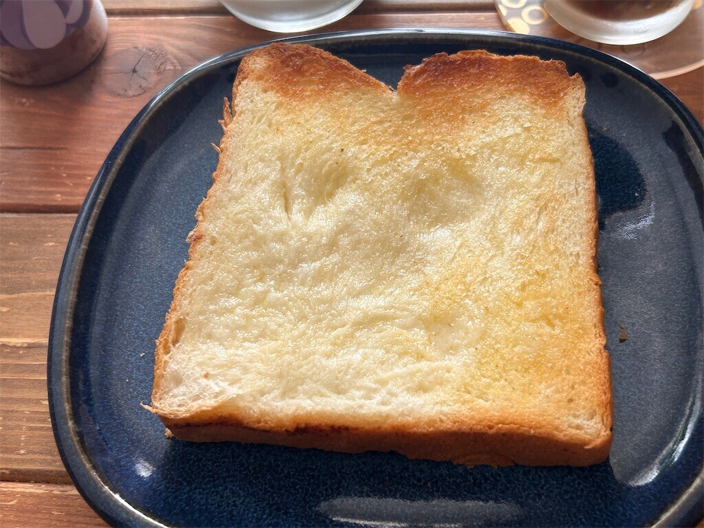 f:id:Magnoliarida:20240804111545j:image f:id:Magnoliarida:20240804111545j:image