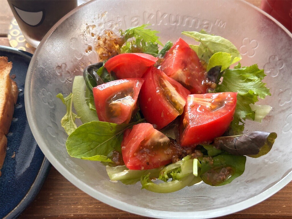 f:id:Magnoliarida:20240804111549j:image f:id:Magnoliarida:20240804111549j:image