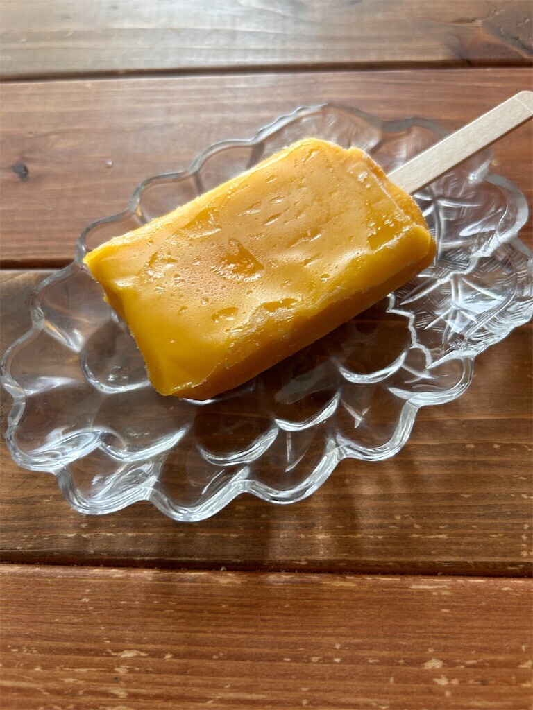 f:id:Magnoliarida:20240804111617j:image f:id:Magnoliarida:20240804111617j:image