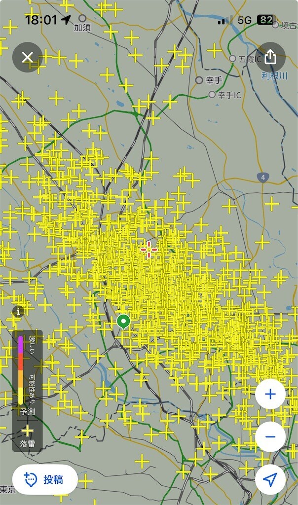 f:id:Magnoliarida:20240807192921j:image f:id:Magnoliarida:20240807192921j:image