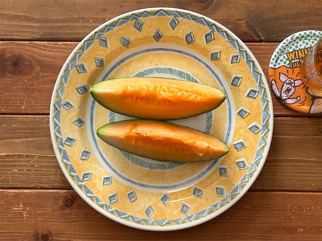 f:id:Magnoliarida:20240812100100j:image