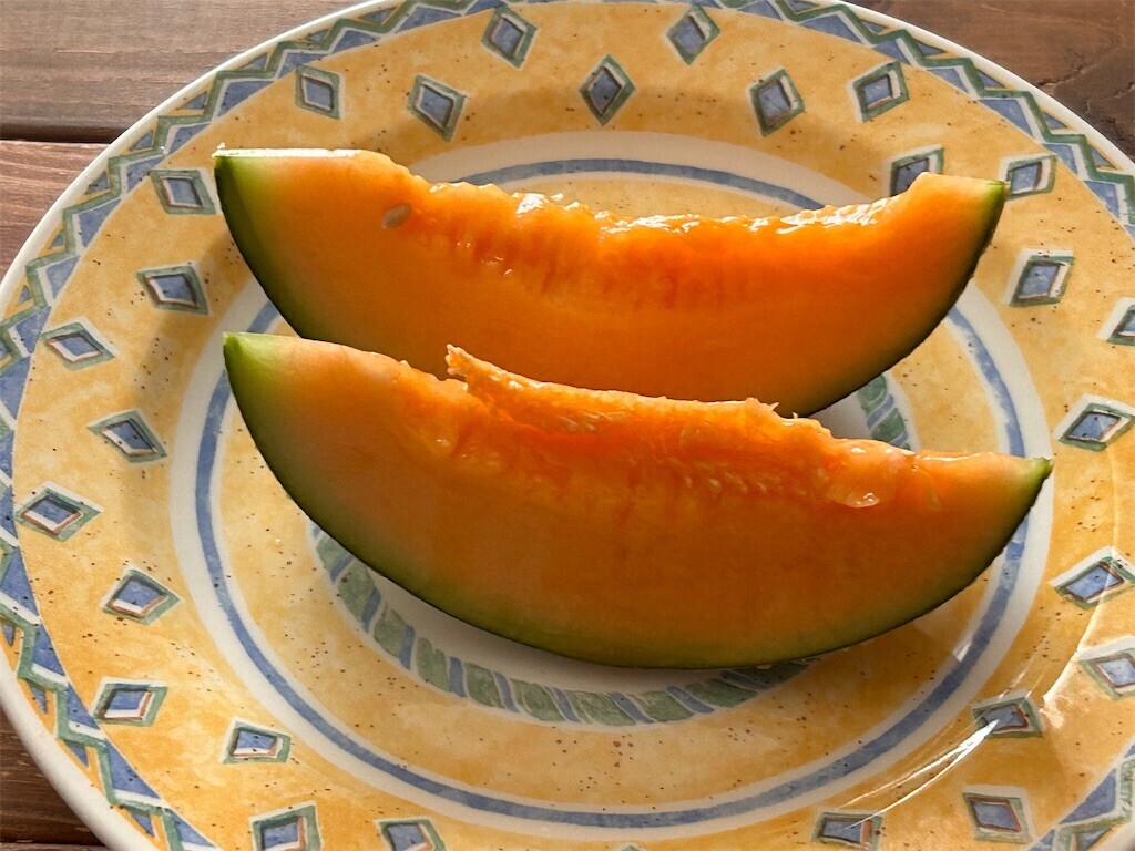 f:id:Magnoliarida:20240812100110j:image