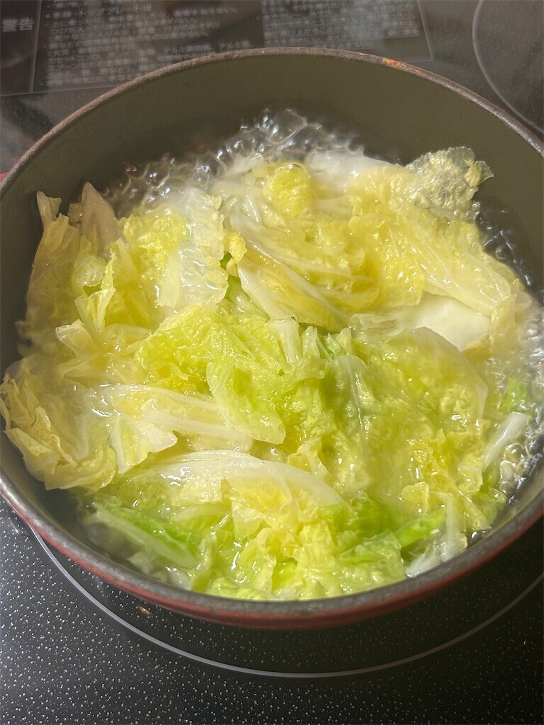 f:id:Magnoliarida:20240813085251j:image