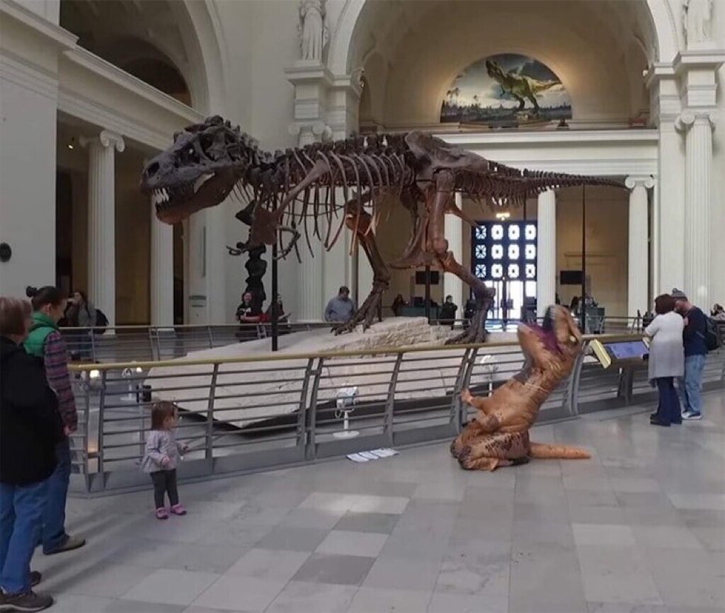 f:id:Magnoliarida:20240815014718j:image